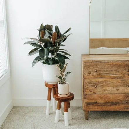 w ps instagram 4 opt