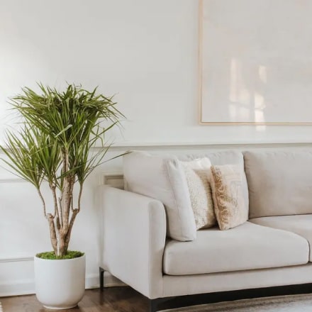 w ps instagram 5 opt