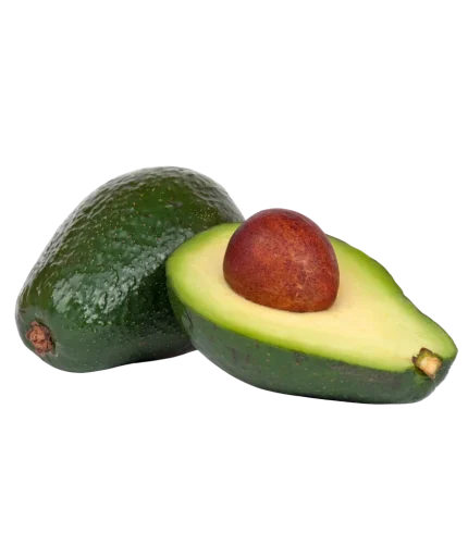 aguacate