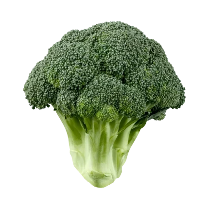 brocoli